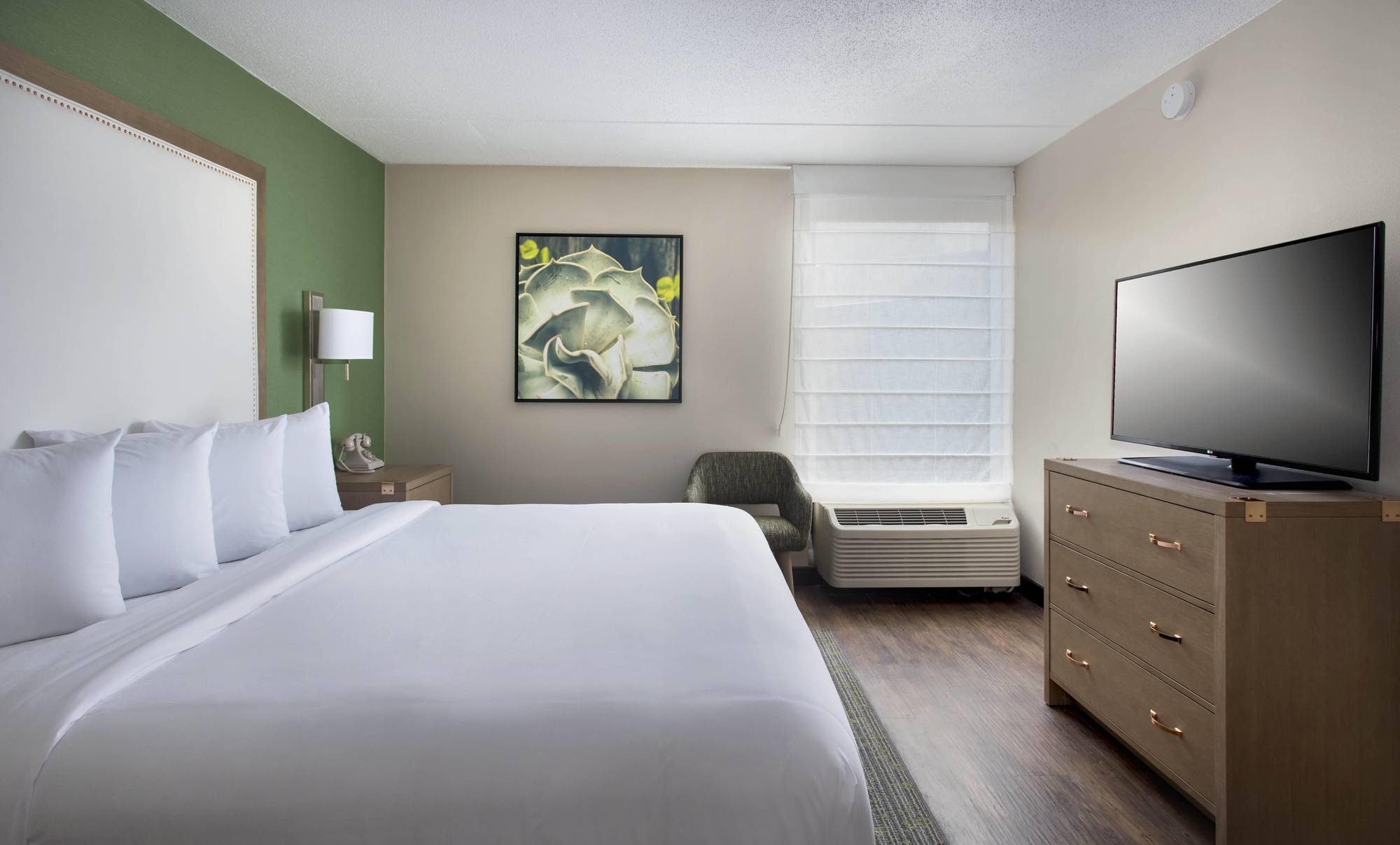 Hayes Street Hotel Нашвил Екстериор снимка